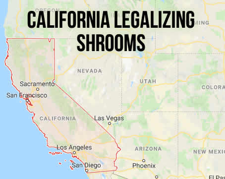 California Legalizing Shrooms