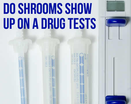 Do Shrooms Show Up On A Drug Test