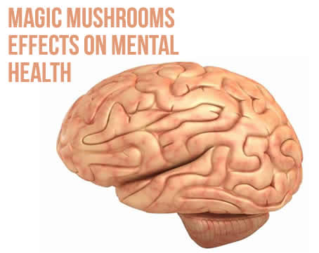 Magic Mushrooms Effects On Mental Health